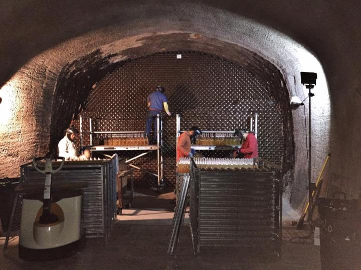 12088537_10153673331108832_2461263555438744091_n